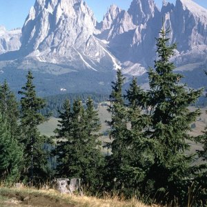 Seiseralm Langkofel 1974