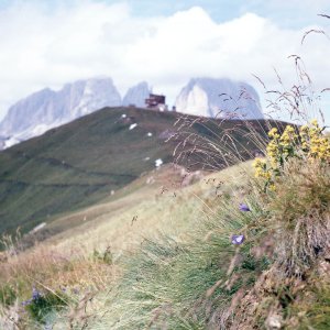 Südtirol Langkofel 1974