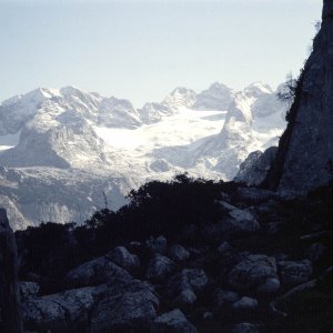 Dachstein vom Lärchkogel