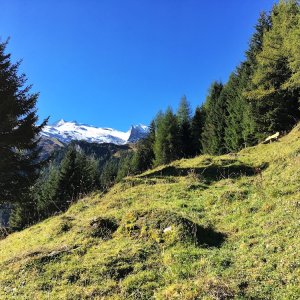 Paradiesweg von Hintertux nach Steinach/Mauern