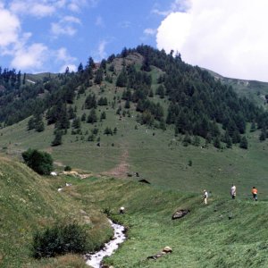 Heumahd im Langtauferer Tal