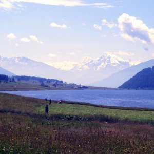 Haidersee und Ortler