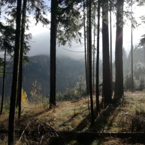 Oberaich bei Bruck an der Mur