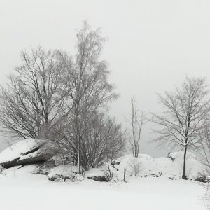 Findling im Waldviertel bei Zwettl