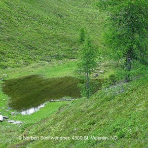 Bergsee Radlberger Alm