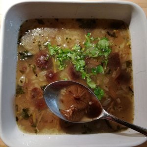 Suppe aus Samtfußrüblingen