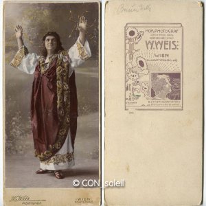 bauer willy 1904 elektrozeus