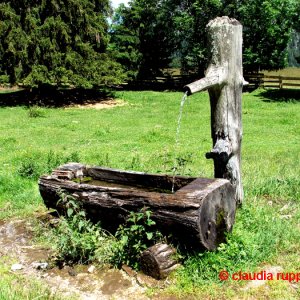 holzbrunnen im leutascher tal