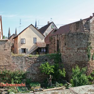 Alte Stadtmauer von Obernai