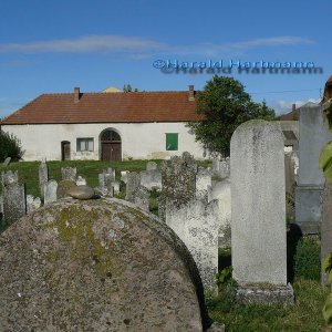 jüdischer Friedhof Frauenkirchen