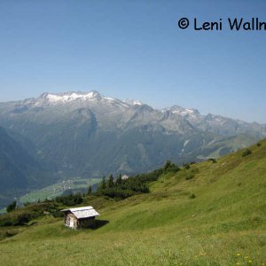 Gernkogel - Bergmähder