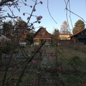 Schrebergarten-Idylle in Wien