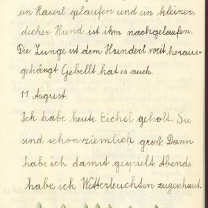 Ferien-Tagebuch Elfriede R. 1932 - 1934