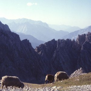 Innsbruck Hafelekar Blick Karwendel