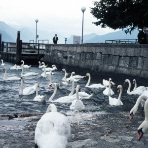 "Rain was coming at Gmunden"