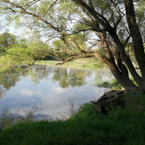 Nationalpark Donauauen