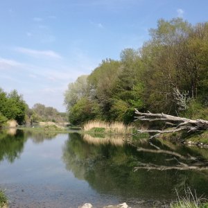 Nationalpark Donauauen