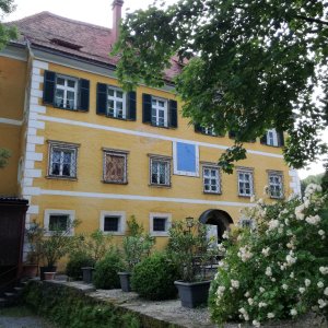 Schloss Limberg in Wies