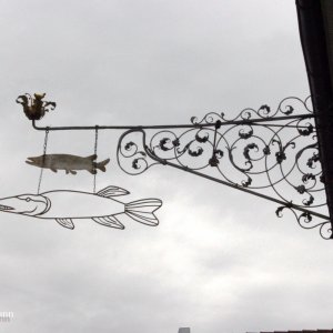Steyr Ausleger Hecht