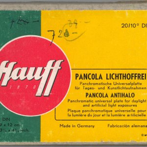 Pancola Lichthoffrei