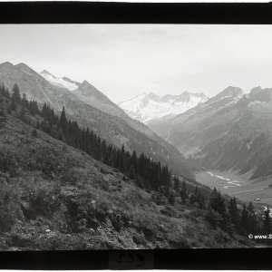 Tuxer Alpen - Wildgerlostal