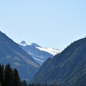 Zuckerhütl - Stubaier Alpen
