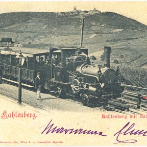 Kahlenberg mit Zahnradbahn