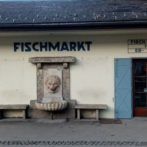 Brunnen am Fischmarkt