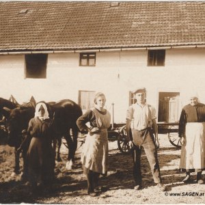 Porträt vor Landwirtschaft Oberösterreich