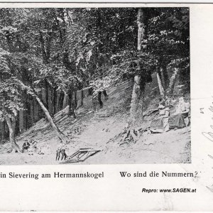 Agnesbrünnl am Hermannskogel 1905