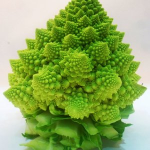 Der Romanesco, ein Kunstwerk der Natur.