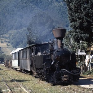 Wassertalbahn, Viseu de Sus