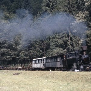 Wassertalbahn, Viseu de Sus