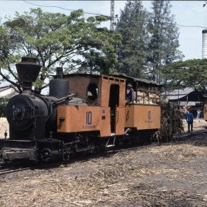 Dampflokomotive Zuckerrohrbahn Tersana Baru, Indonesien