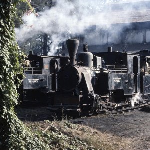 Dampflokomotiven Zuckerrohrbahn Pangka, Indonesien