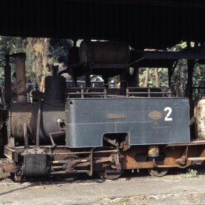 Dampflokomotive Sragi, Comal, Indonesien