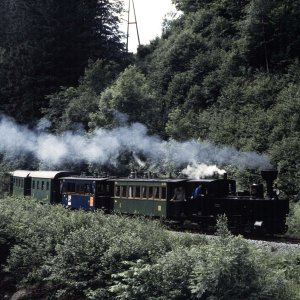 Thörlerbahn bei Seebach-Turnau