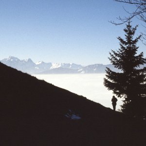 Bergwandern oberhalb Nebel