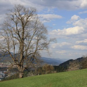 Kapfenberg