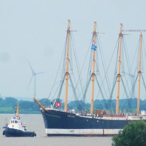 Die Peking, eine alte Dame kommt heim. Ein Hamburger Wahrzeichen