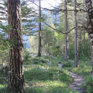 Naturschutzgebiet Karlschütt