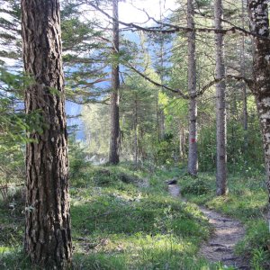 Naturschutzgebiet Karlschütt