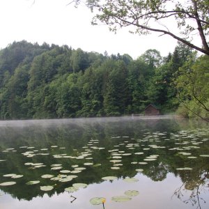 Krottensee