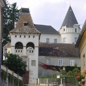 Maissau