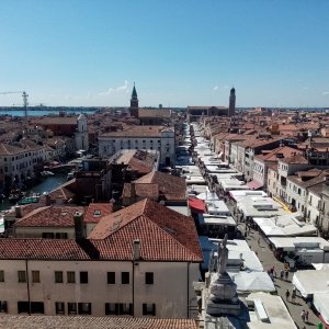 Markt in Chioggia