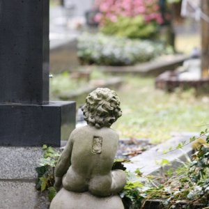Wiener Zentralfriedhof