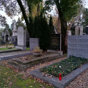 Grabstätten von Arthur Schnitzler, Friedrich Thorberg, Gerhard Bronner