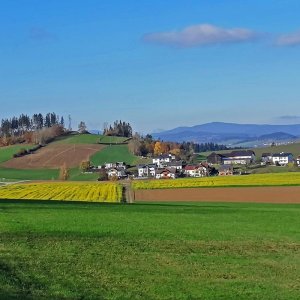 Altenfelden