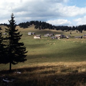 Raxseilbahn und Rax