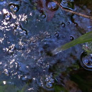 Reflexe